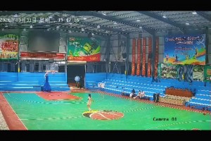 扔进了就回家...